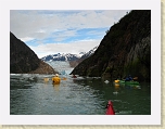 Alaska 546 * We made our way from Sawyer Island to the South Sawyer Glacier in the mid evening to hopefully witness the calving glacier at day's end. * We made our way from Sawyer Island to the South Sawyer Glacier in the mid evening to hopefully witness the calving glacier at day's end. * 1600 x 1200 * (569KB)